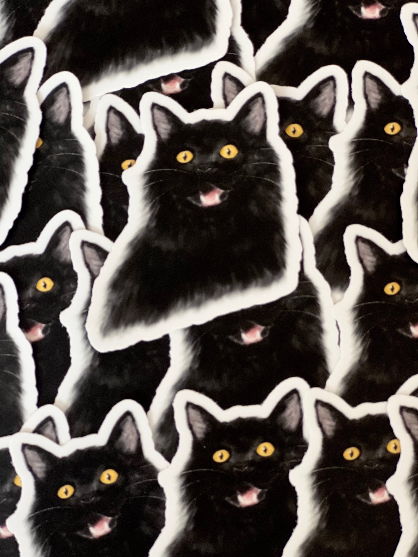 Black Cat Sticker