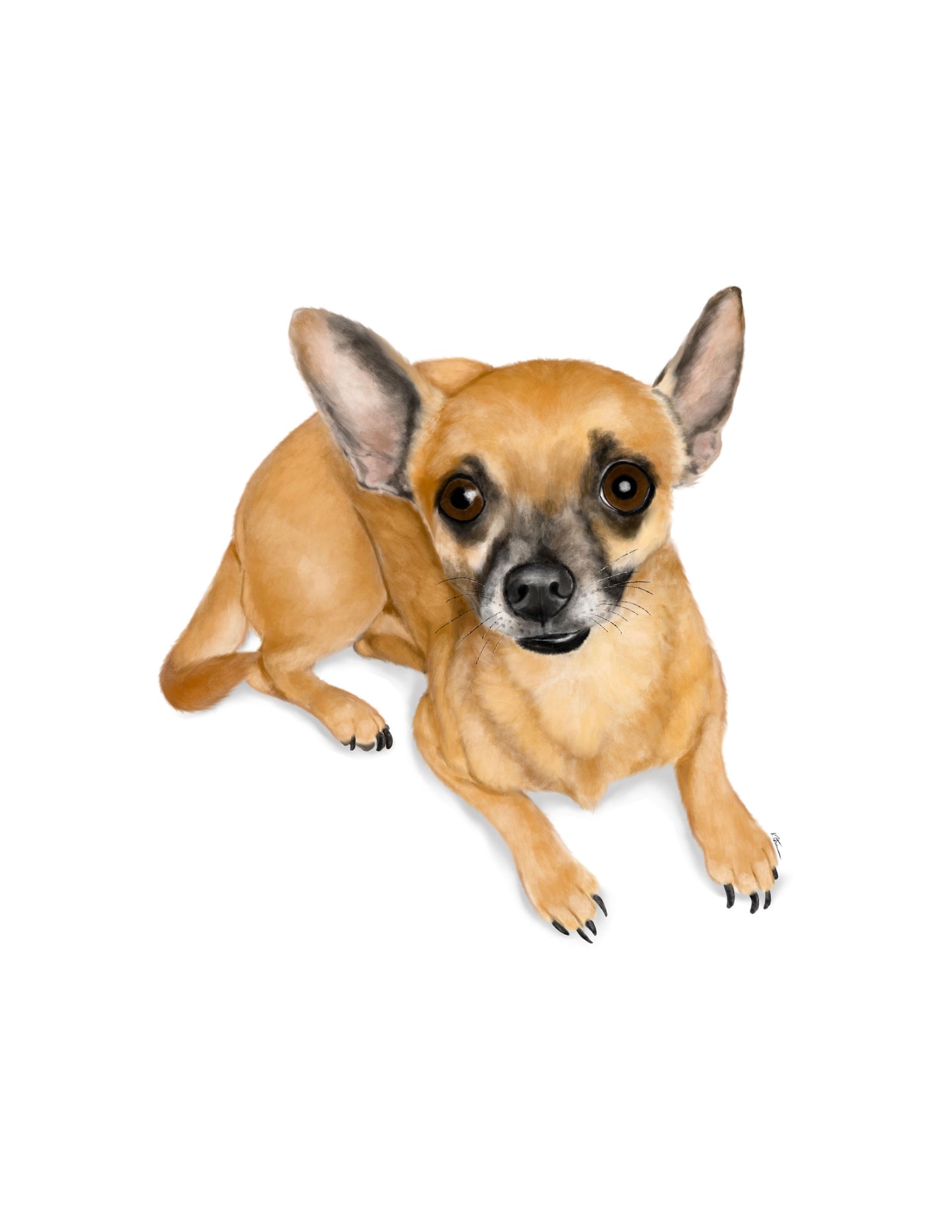Custom Pet Portrait - Digital File Only