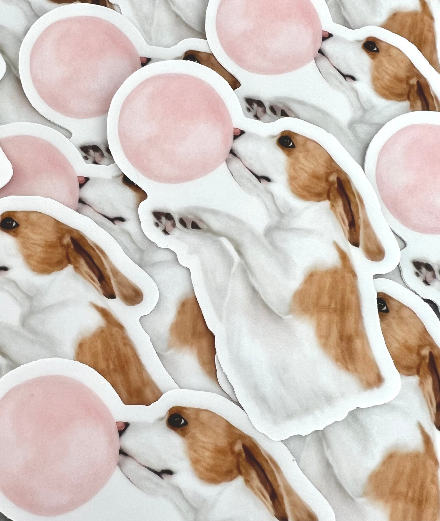Dog With Bubble Gum