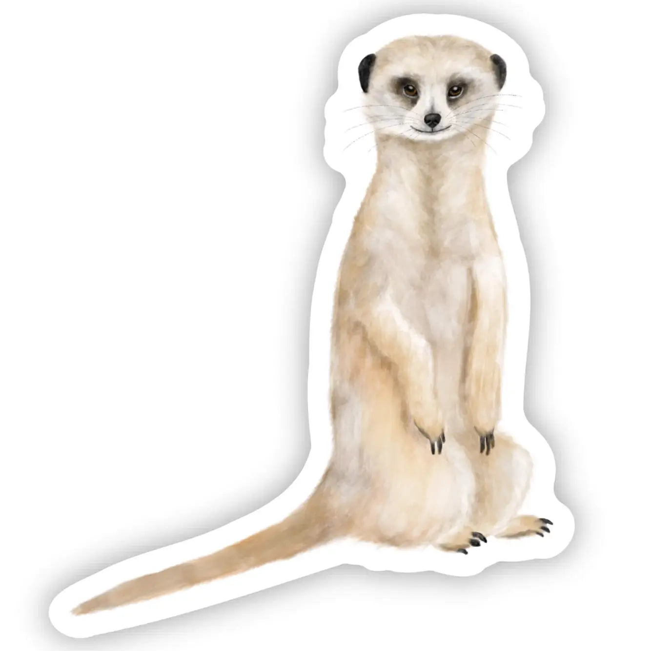 Meerkat Sticker