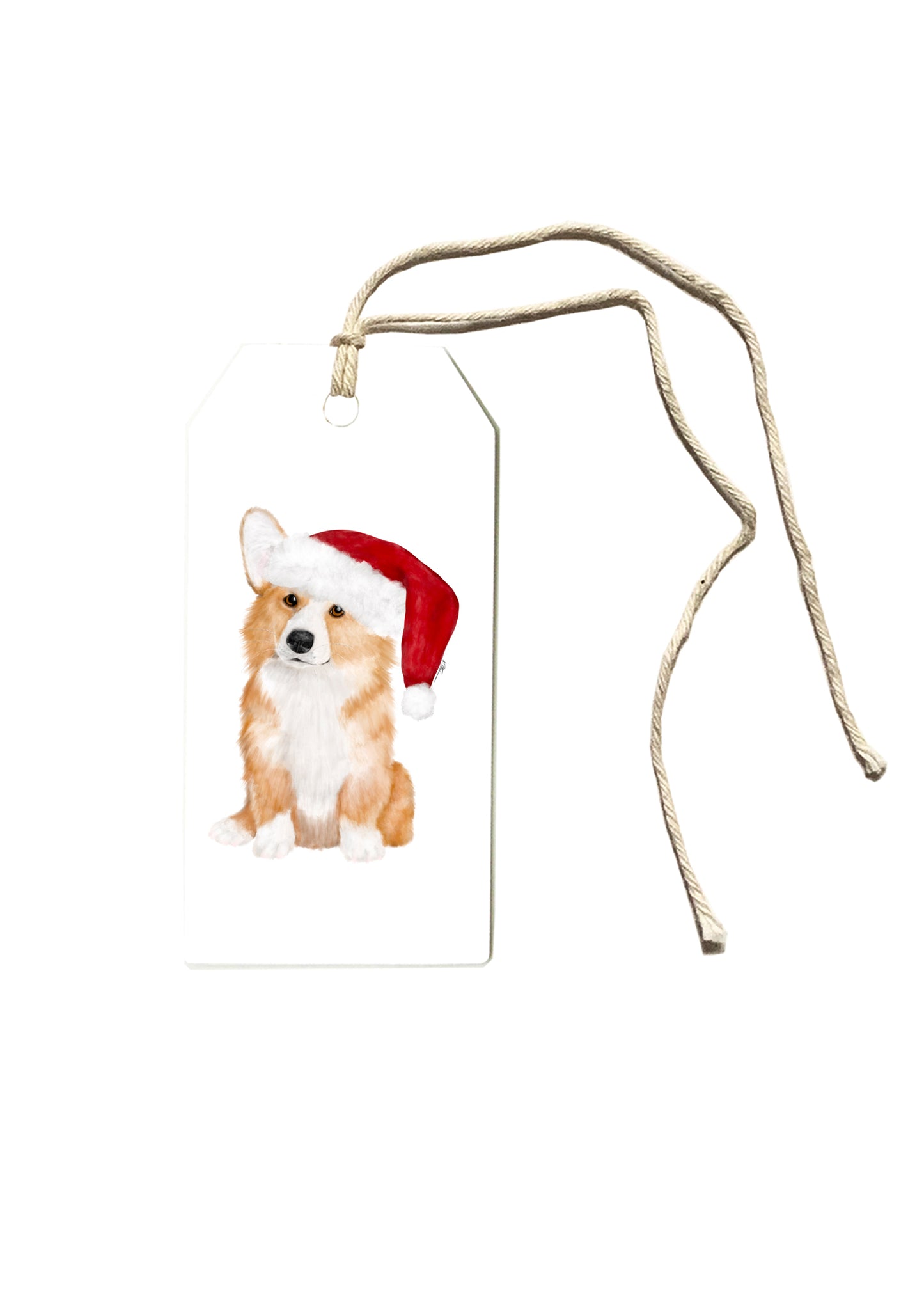 Corgi With Santa Hat