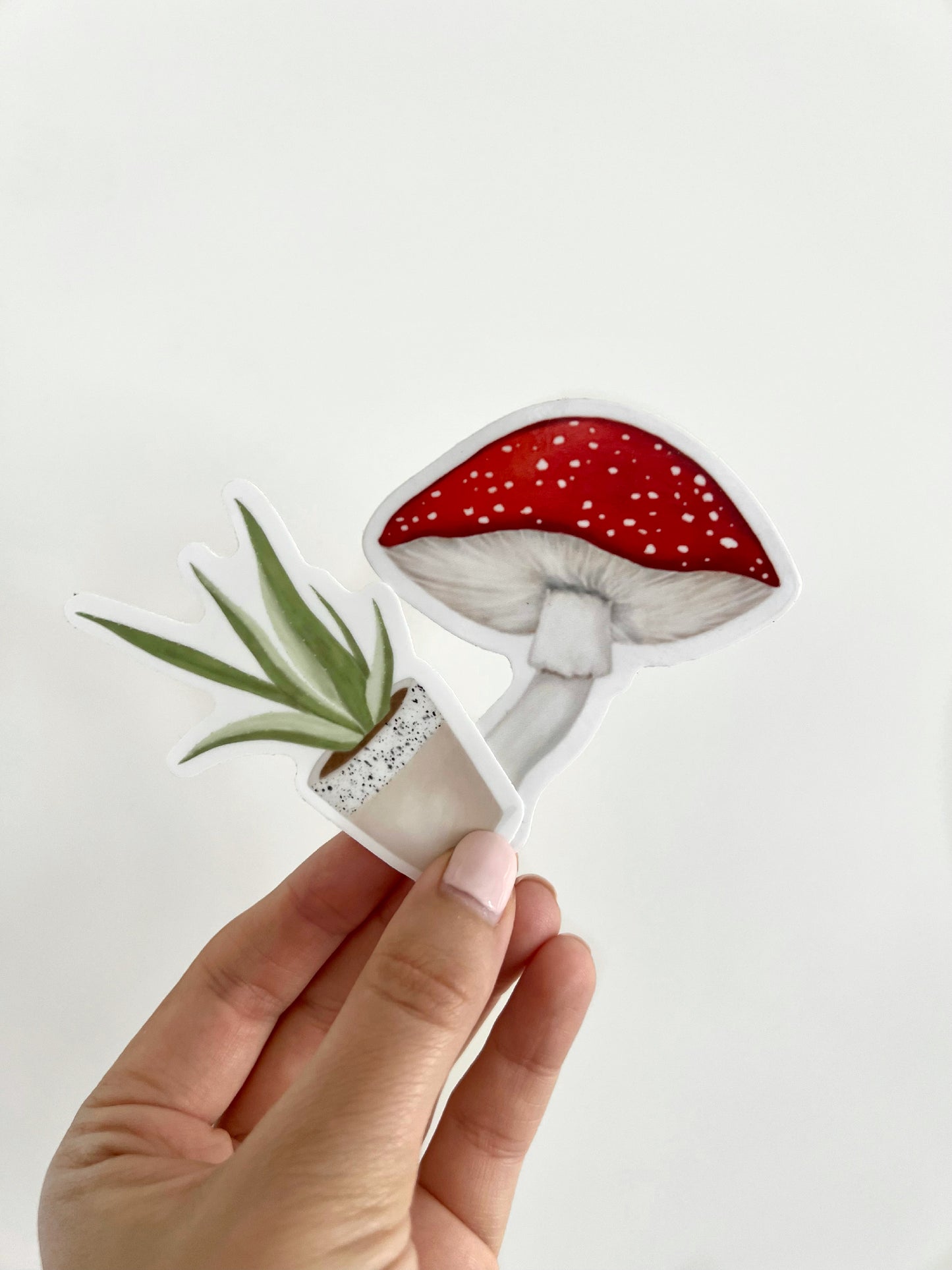 Mushroom