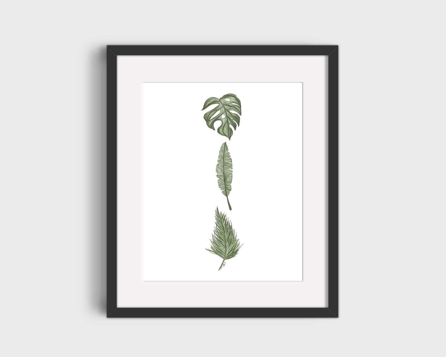 3 Plants