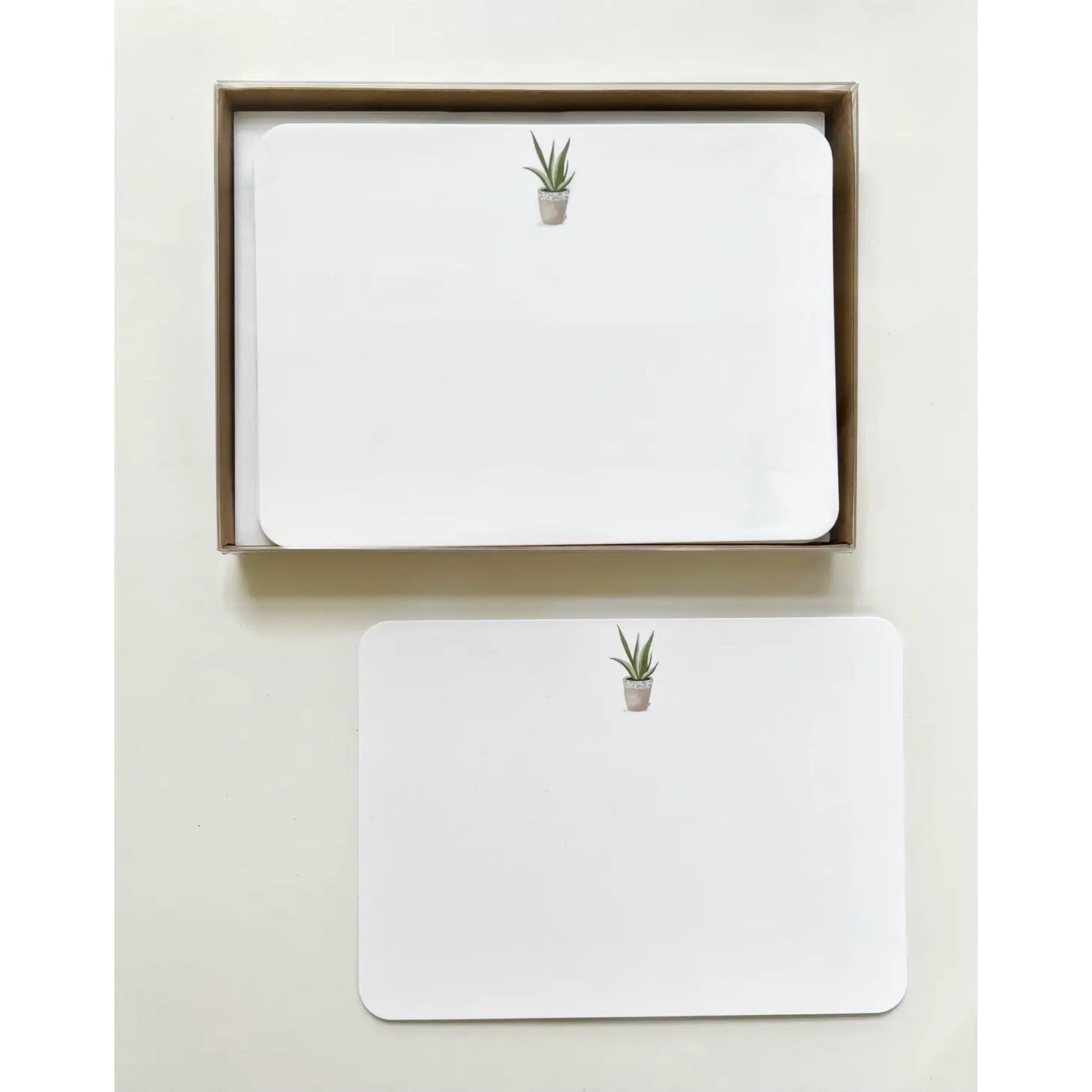 Aloe Plant Flat Notecards