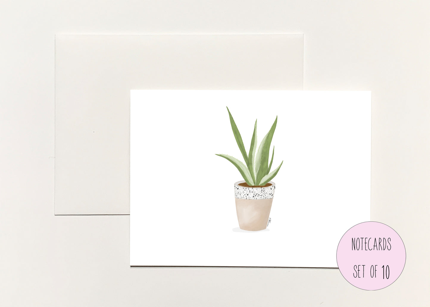 Aloe Plant