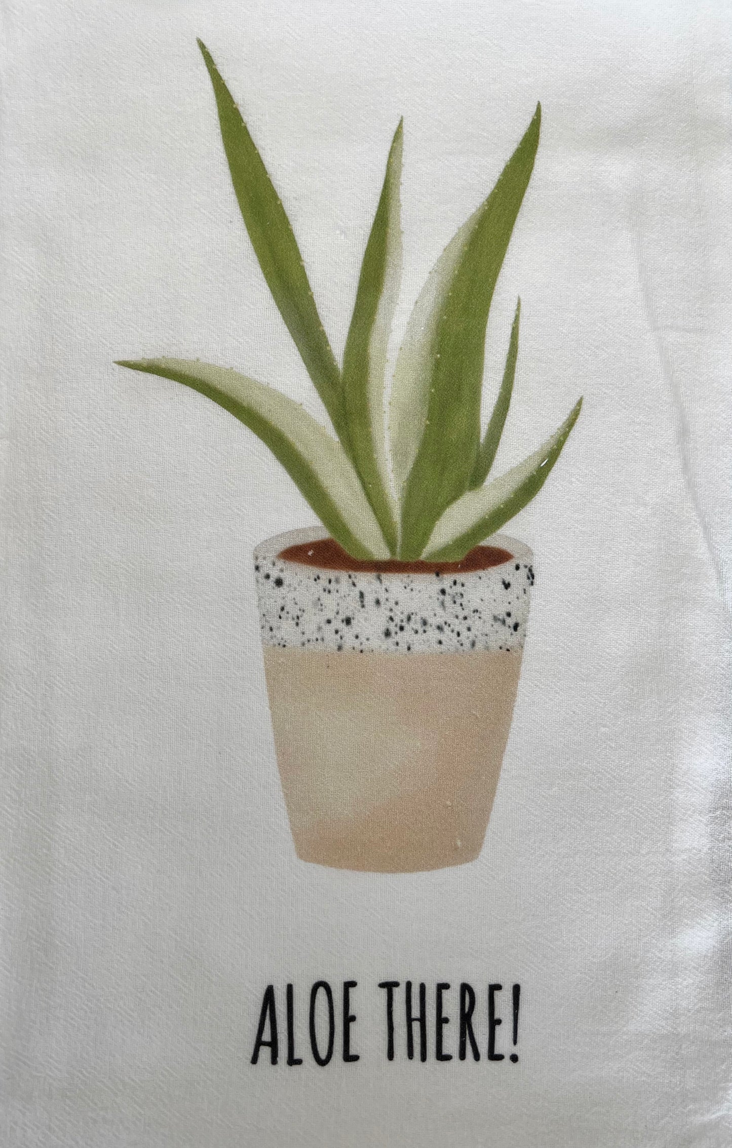 Aloe There!