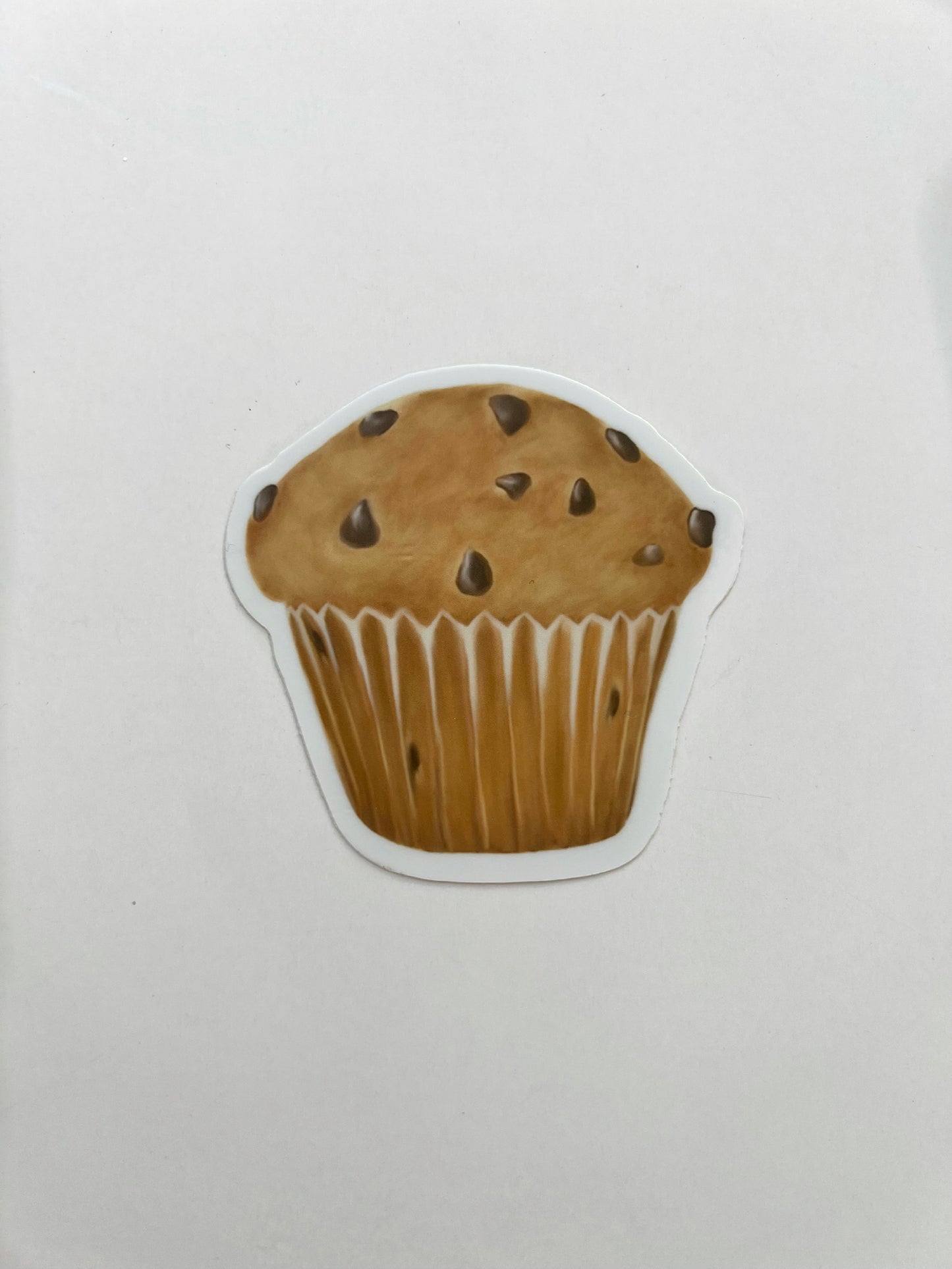 Chocolate Chip Muffin