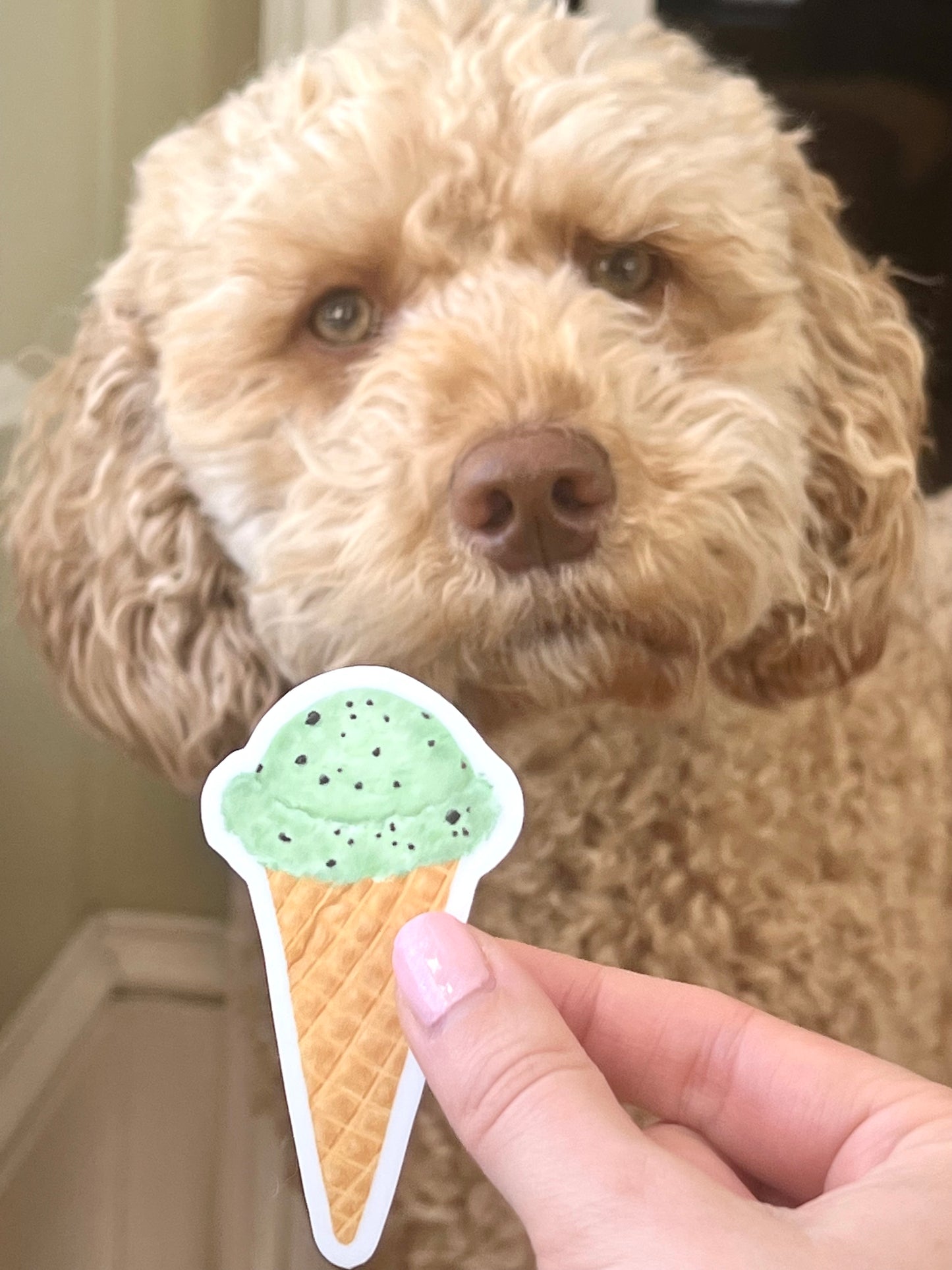 Mint Chip Ice Cream Cone