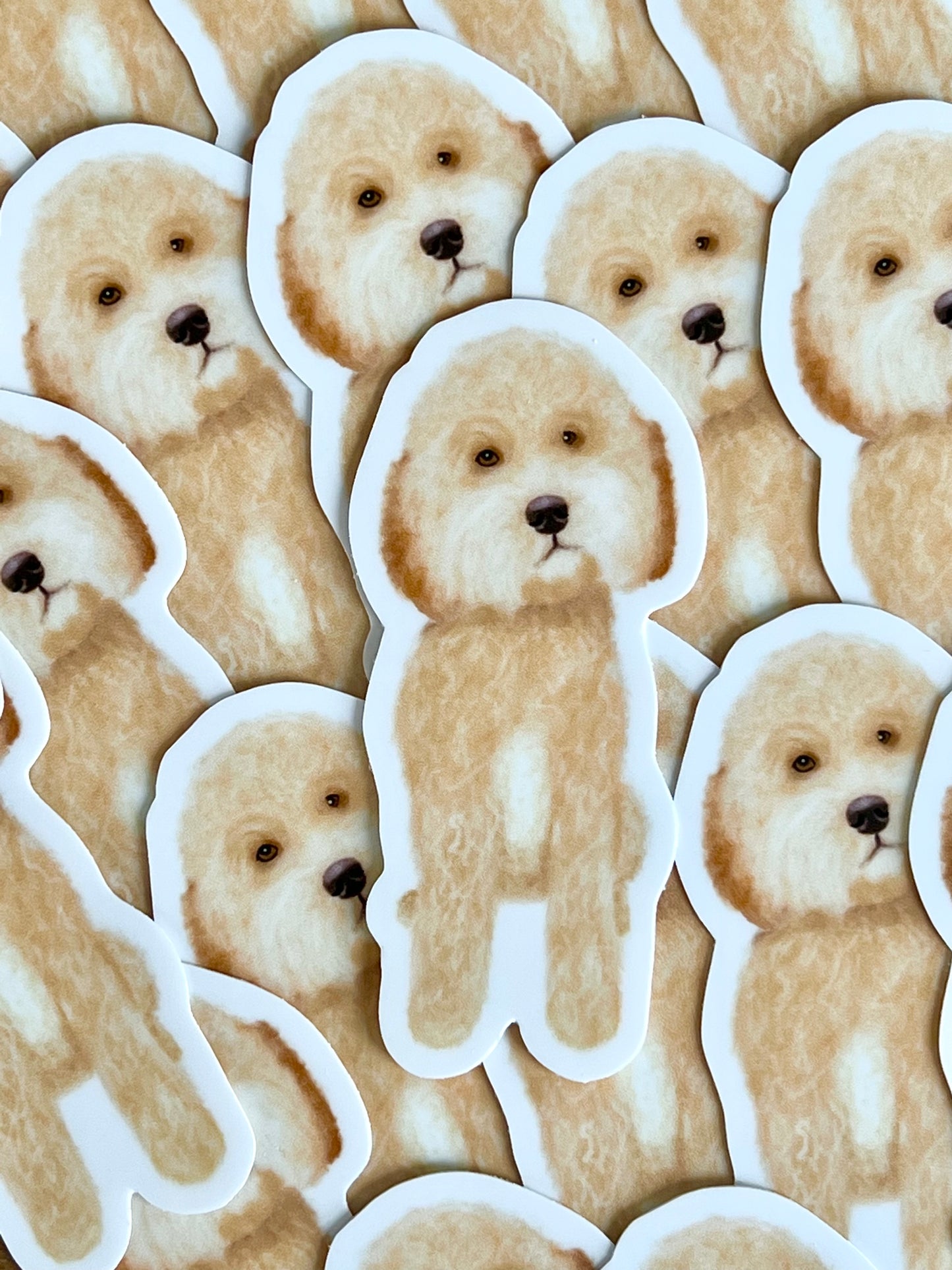 Maple Doodle Sticker