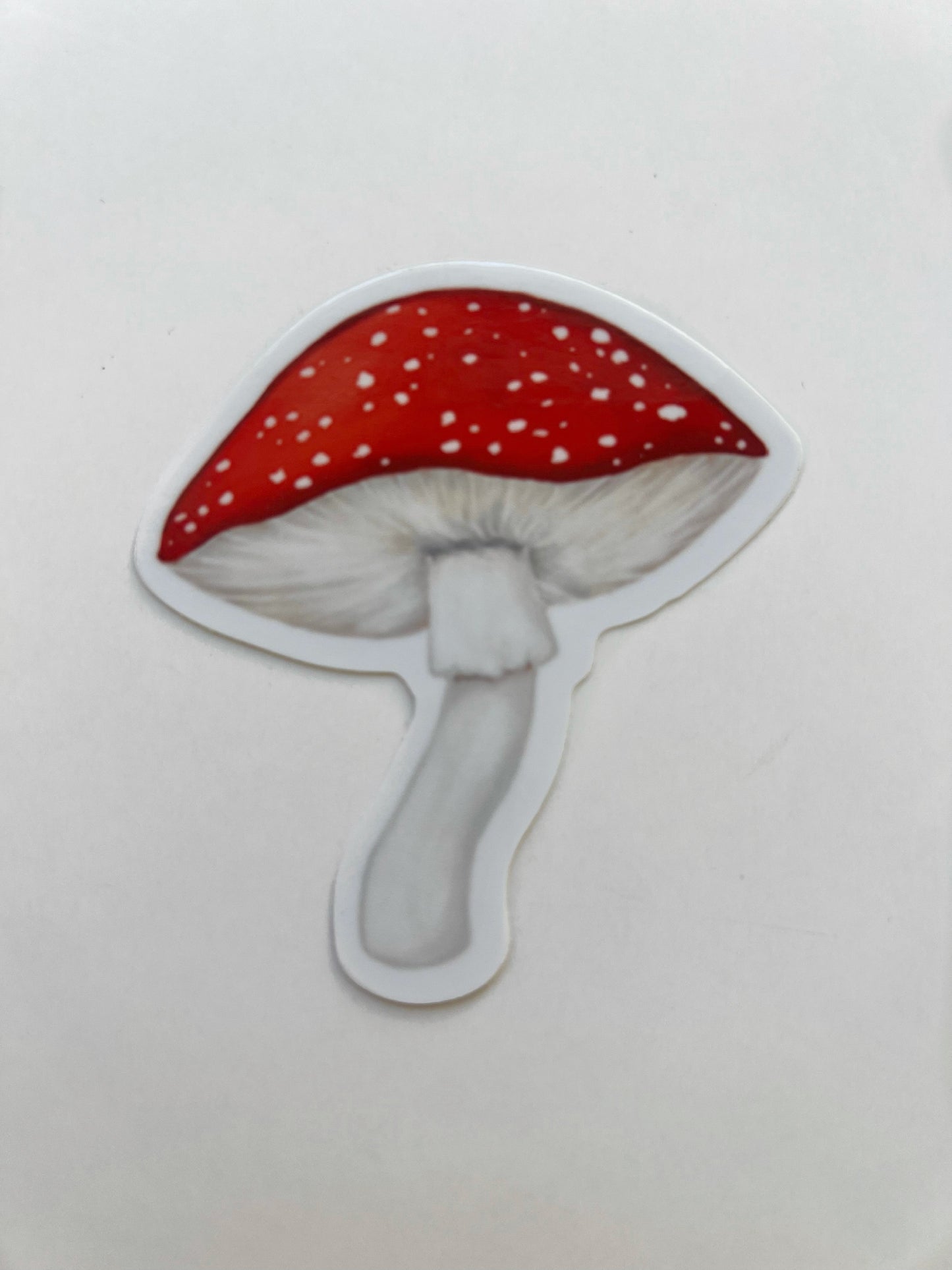 Mushroom