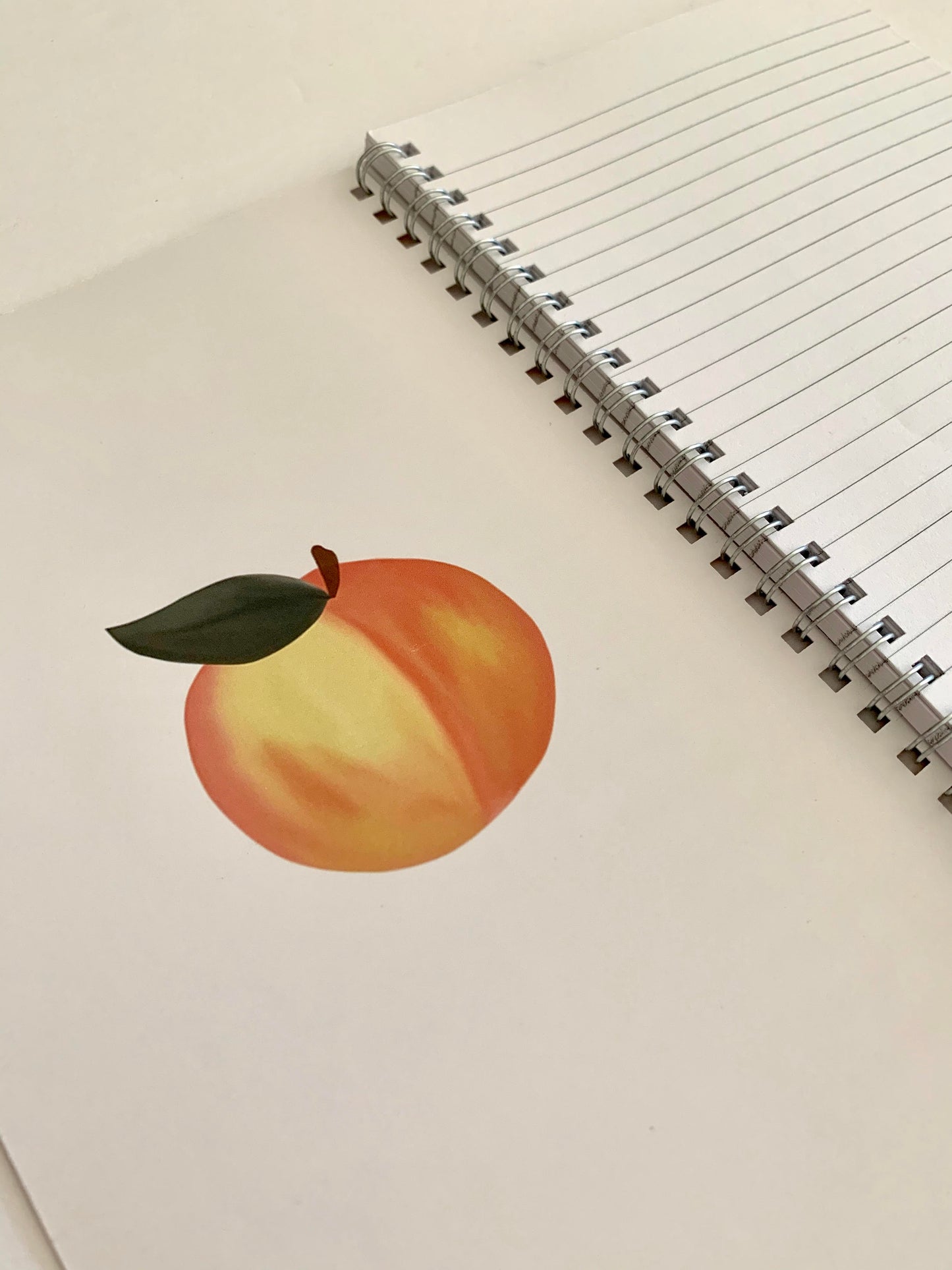 Peaches Notebook