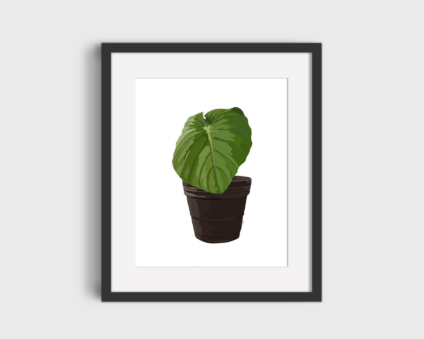 Plant In Pot