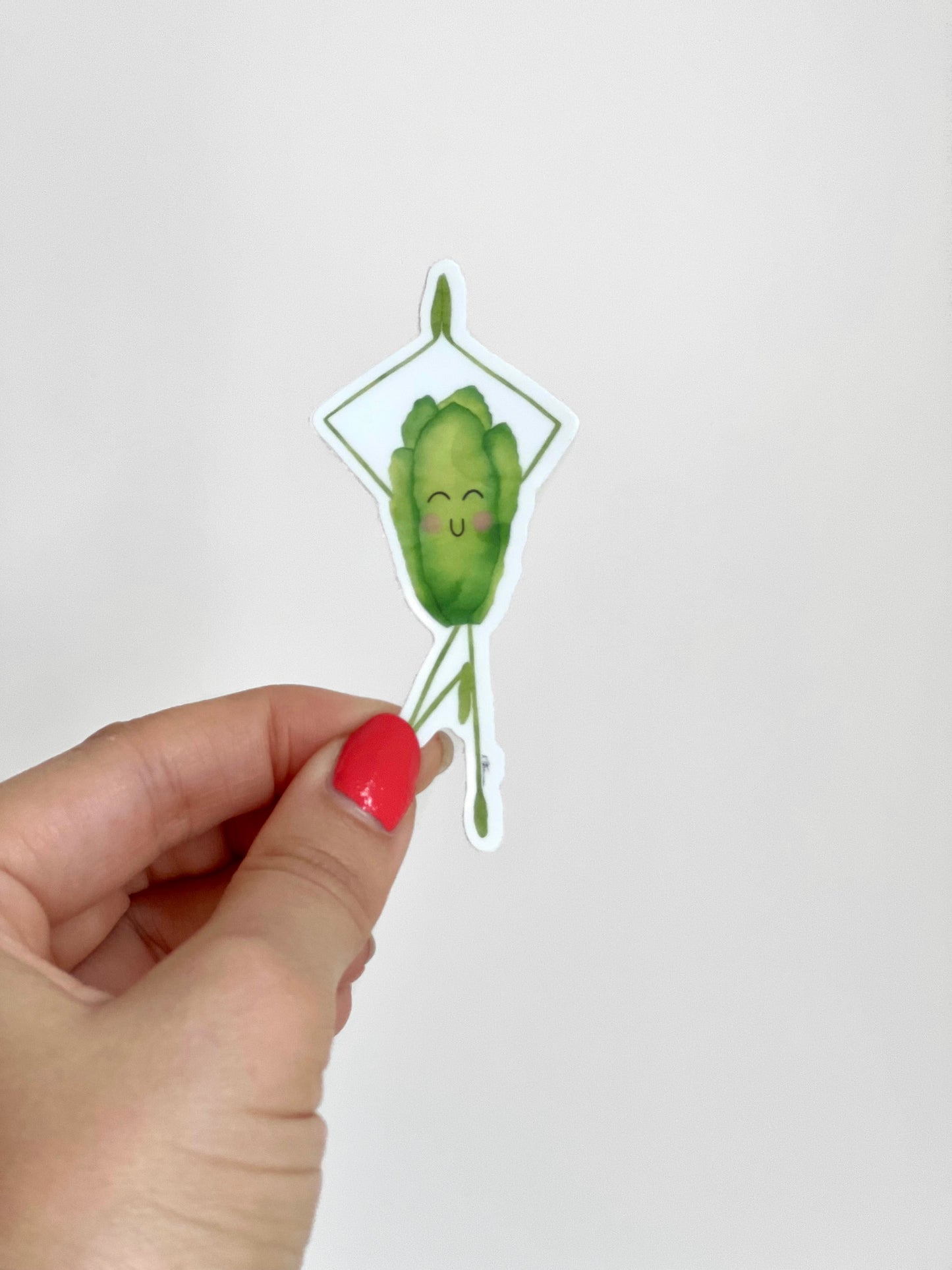 Lettuce Romaine Calm