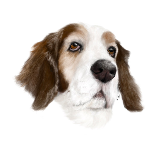 Custom Pet Portrait - 5x5 Art Print