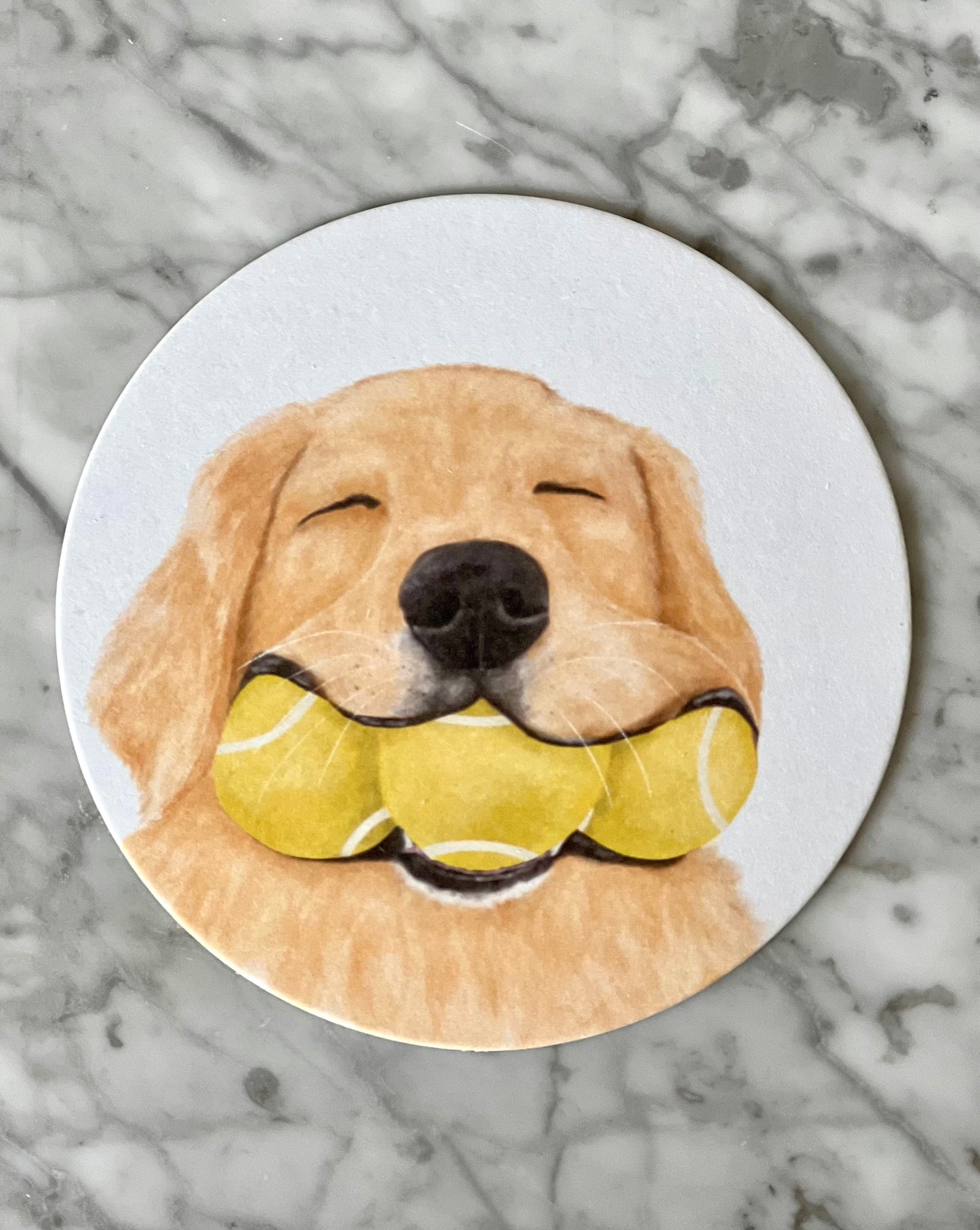 Dog With Tennis Balls Coasters