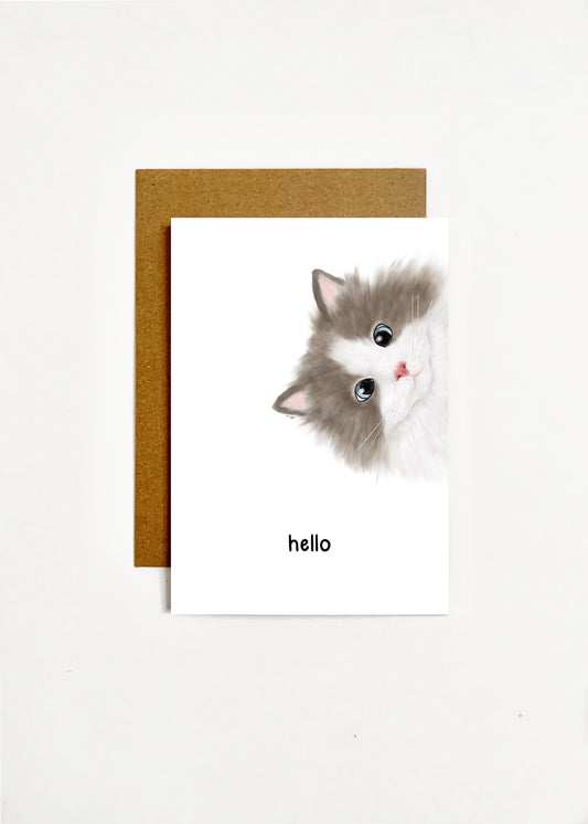 Hello - Peeping Cat
