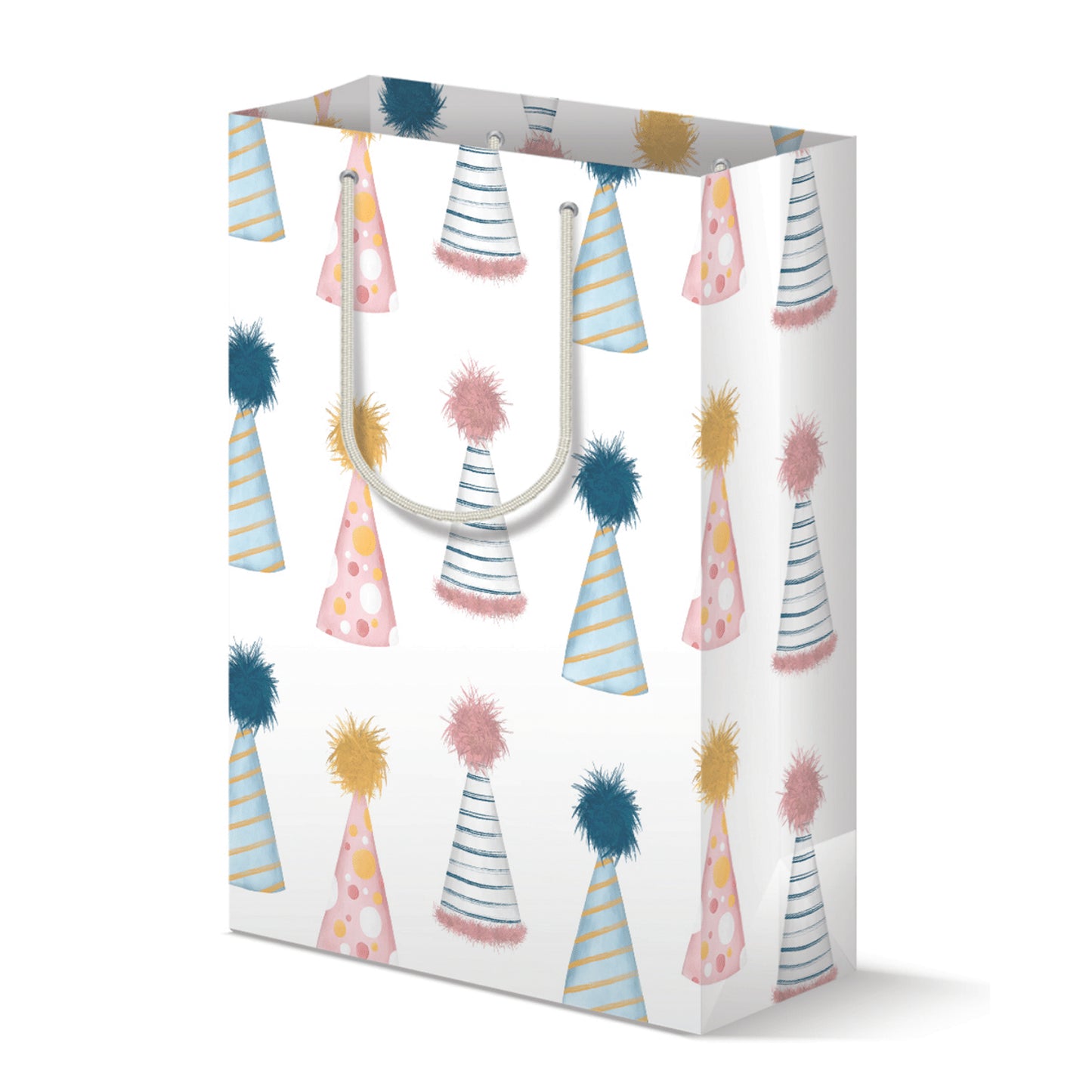 Party Hats Gift Bag