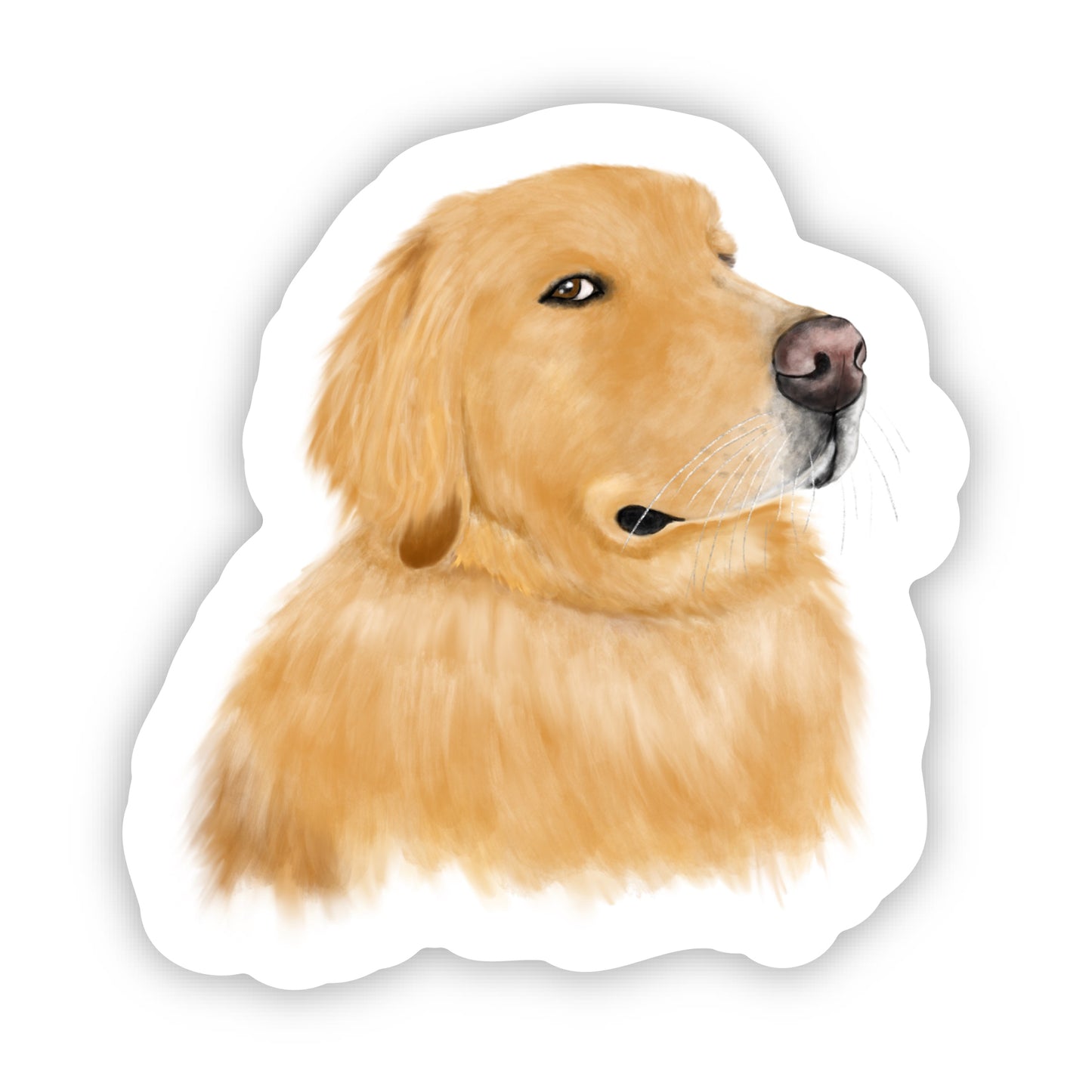 Side Eye Golden Retriever Sticker