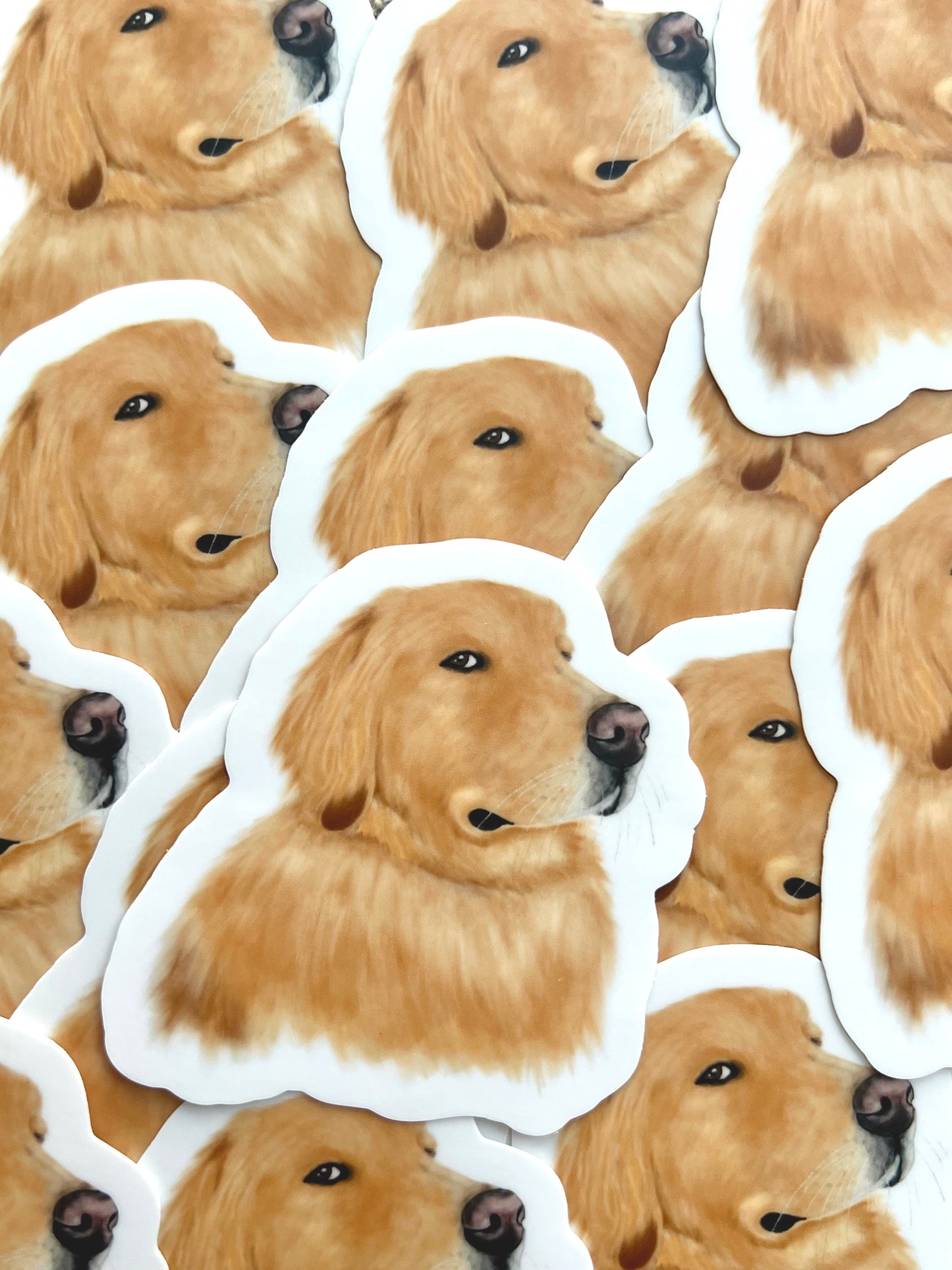 Side Eye Golden Retriever Sticker